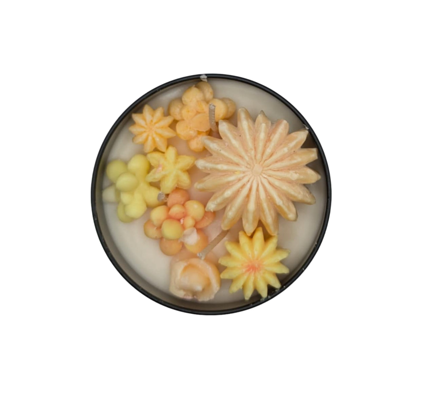PINA COLADA SUCCULANT CANDLE