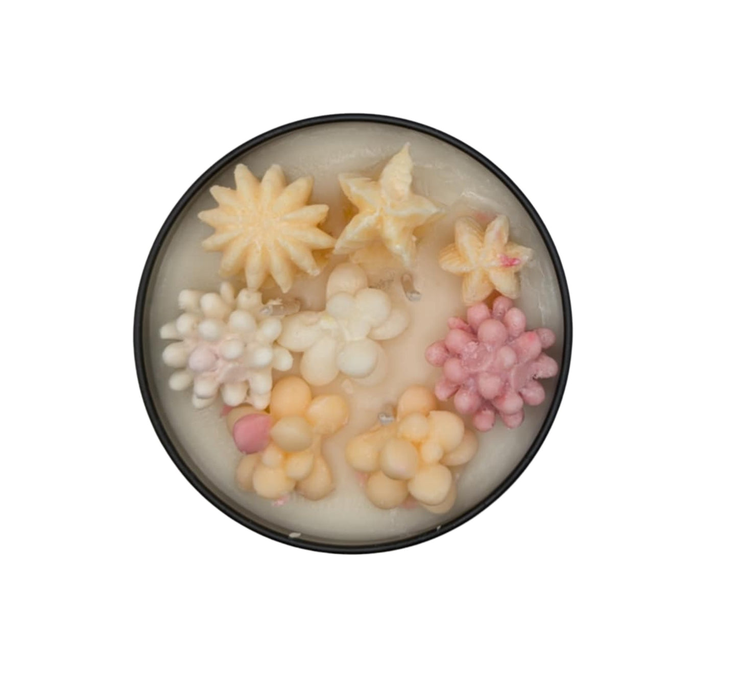 POMOLO GRAPEFRUIT SUCCULANT CANDLE