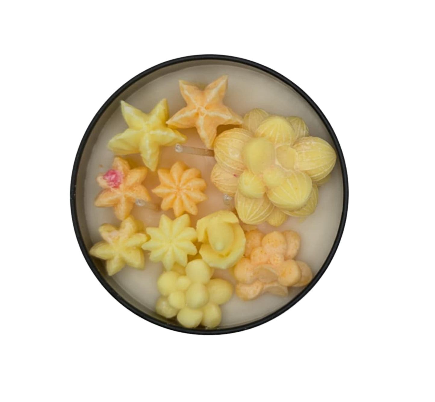 POMOLO GRAPEFRUIT SUCCULANT CANDLE