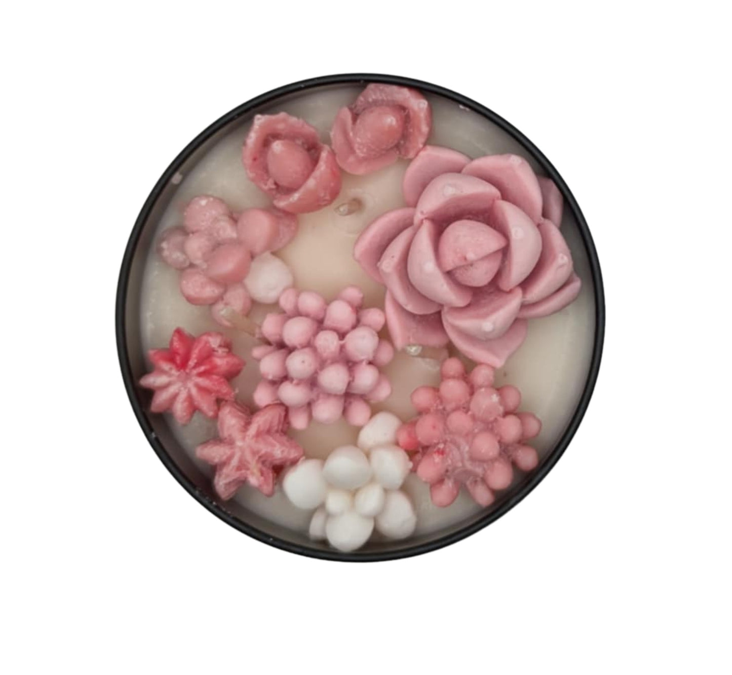 SECRET CHAMPANGE SUCCULANT CANDLE