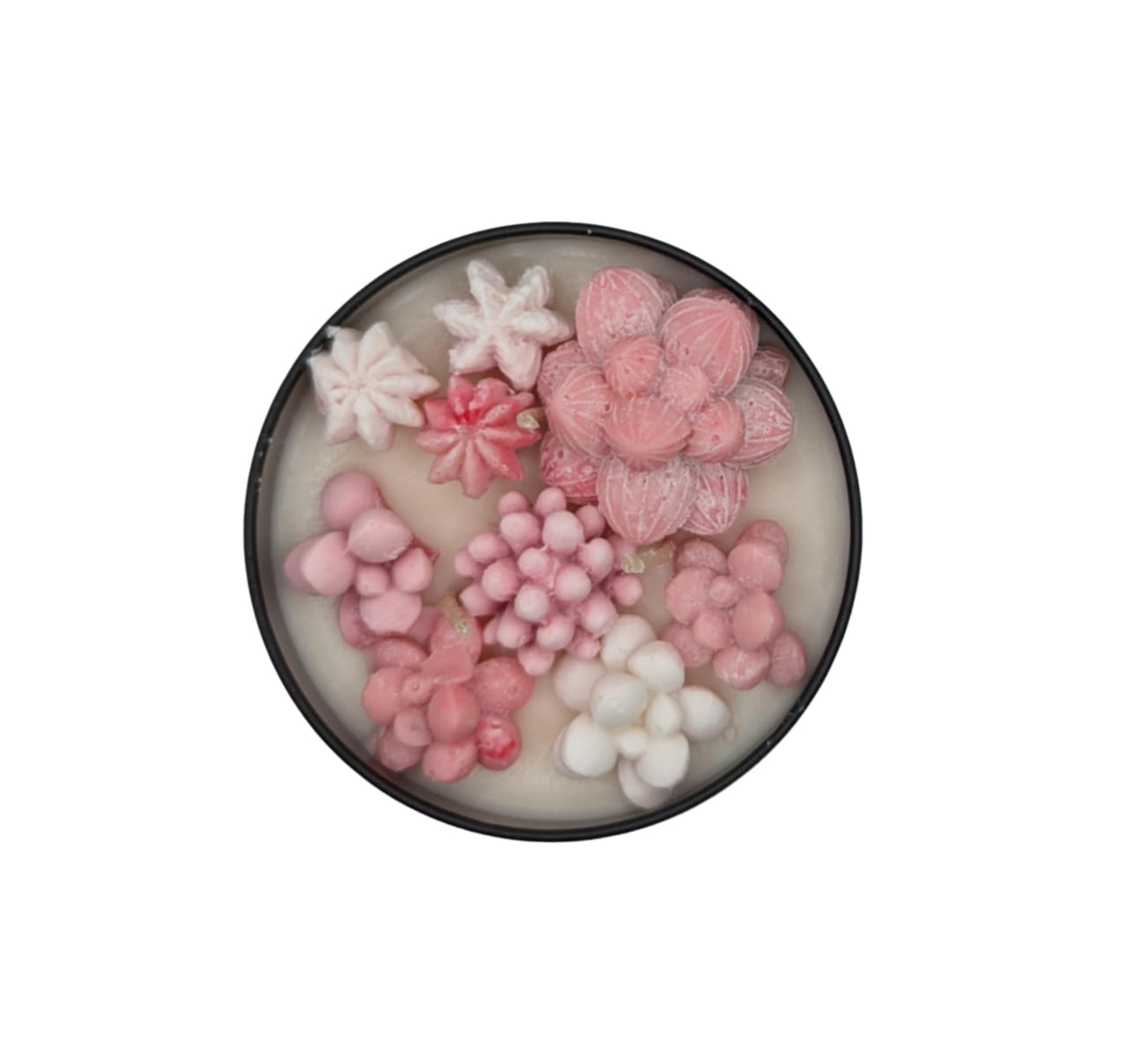 SECRET CHAMPANGE SUCCULANT CANDLE