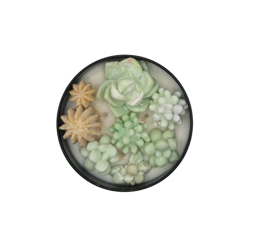 FRENCH VANILLA SUCCULANT CANDLE (Copy)