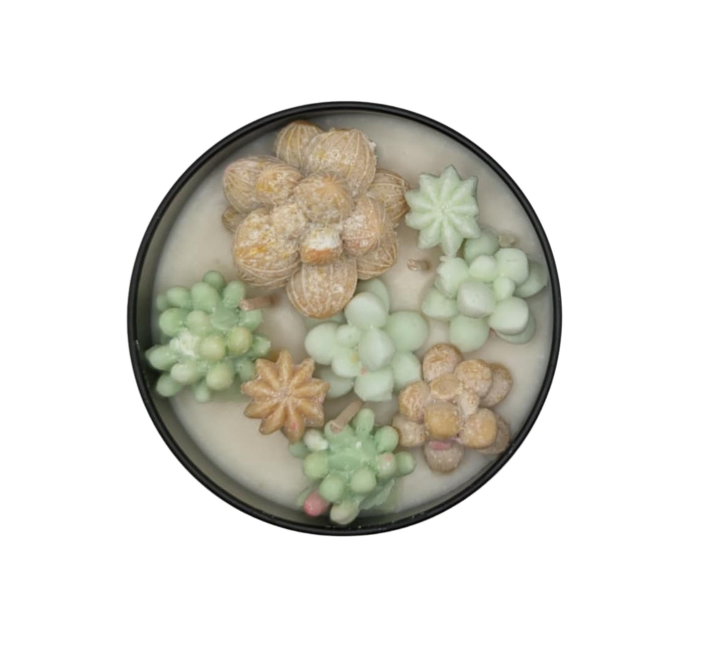 FRENCH VANILLA SUCCULANT CANDLE