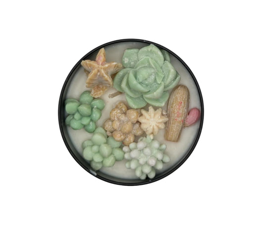 FRENCH VANILLA SUCCULANT CANDLE