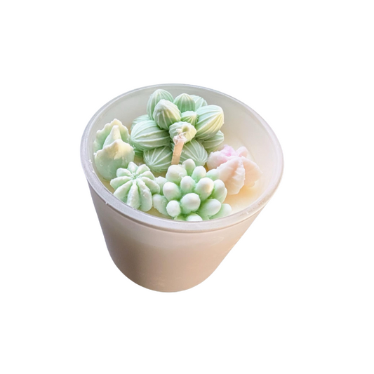 MEDIUM SUCCULANT SOY CANDLE MUSK STICK