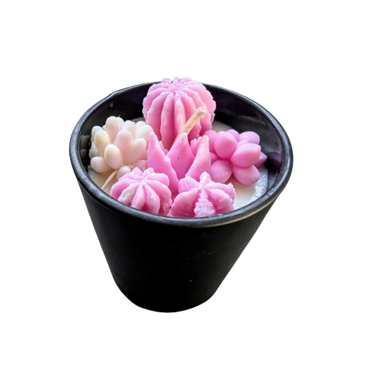 MEDIUM SUCCULANT SOY CANDLE MUSK STICK