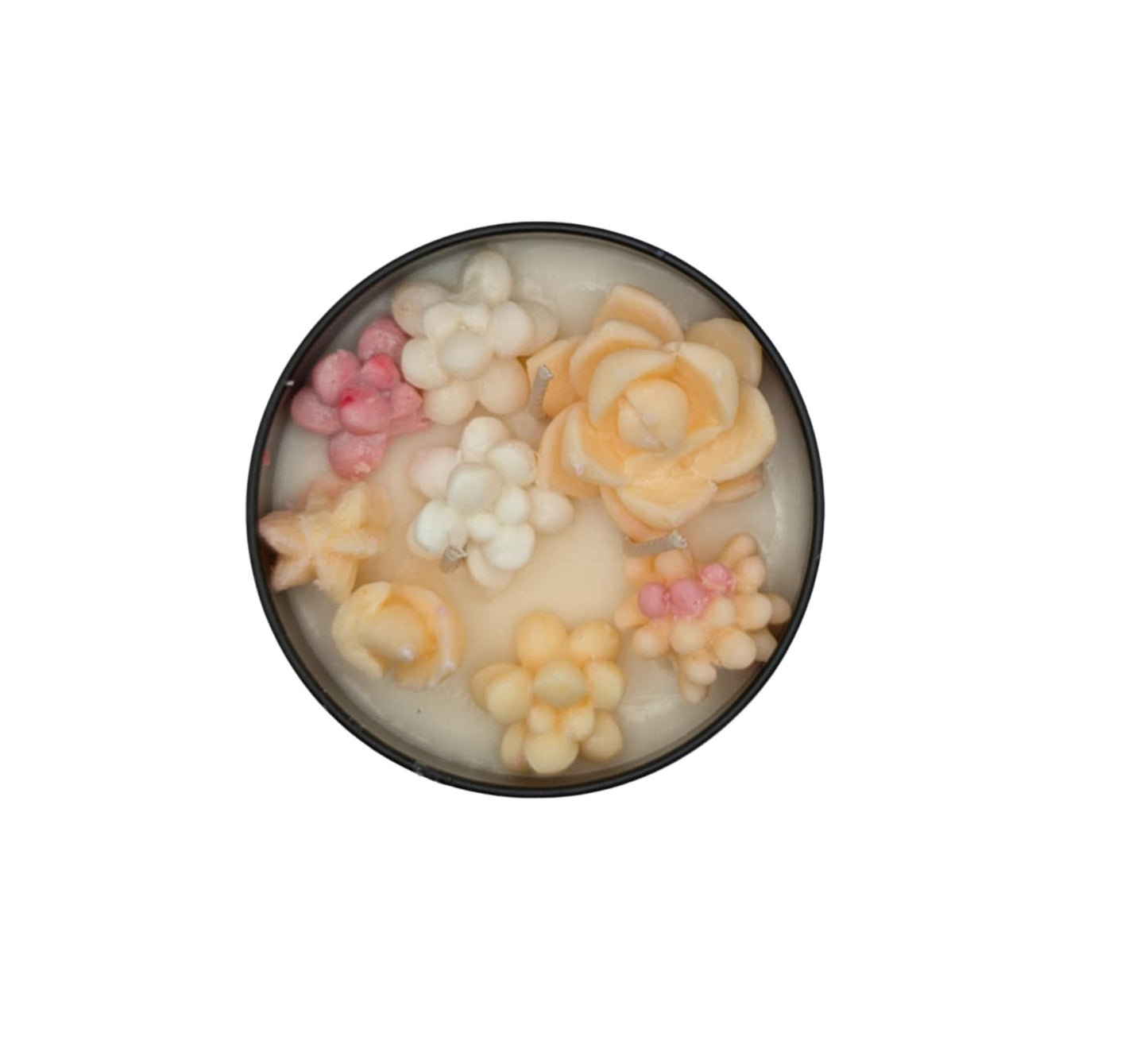 POMOLO GRAPEFRUIT SUCCULANT CANDLE