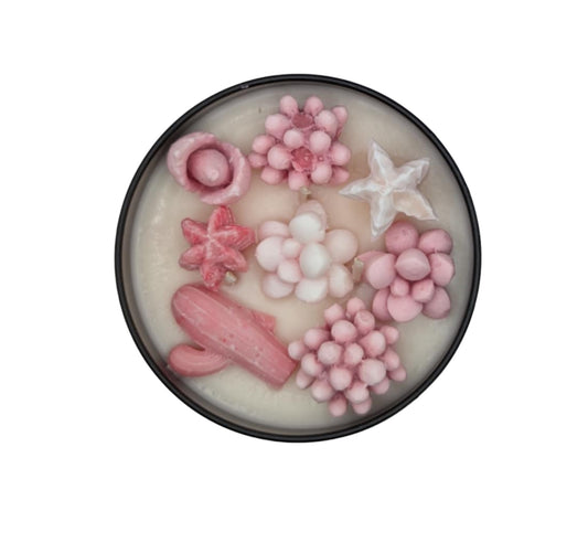 SECRET CHAMPANGE SUCCULANT CANDLE