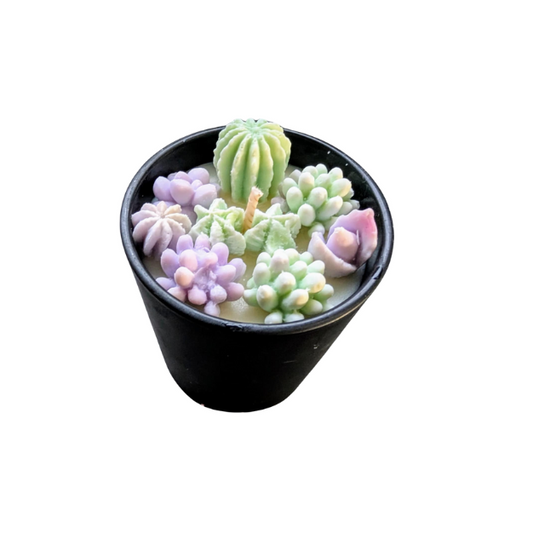 LARGE SUCCULANT SOY CANDLE MUSK STICK